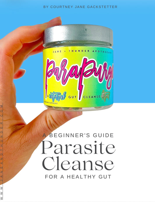Parasite Cleanse: A Beginner’s Guide to a Healthy Gut — Printable eBook (PDF Download)